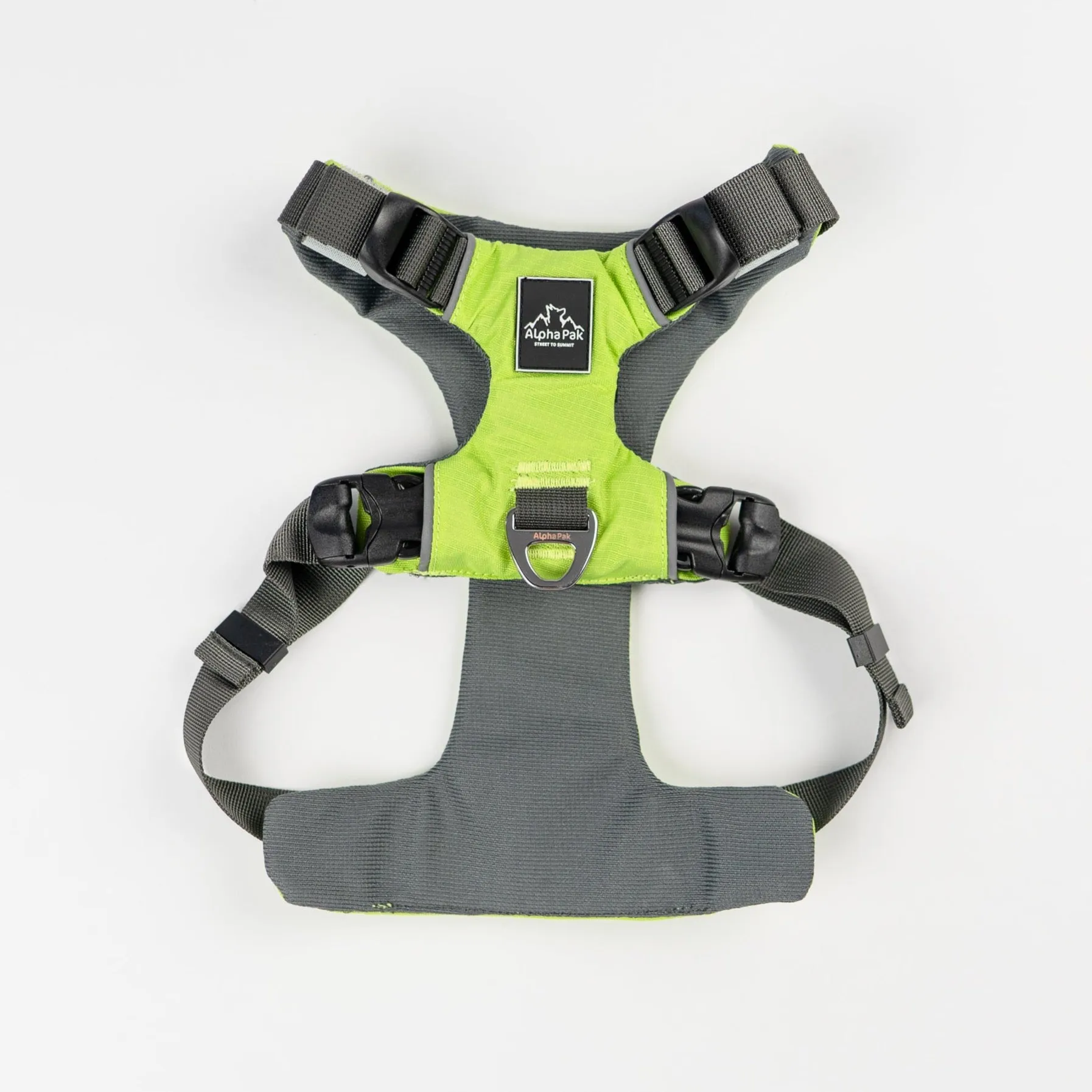Everyday Adventure Dog Harness