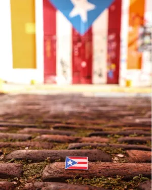 PR FLAG   | PP095 | PINS PLANET